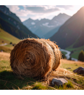 Alpine Hay Natural Flavour Liposoluble